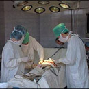 Иллюстративное фото с сайта : agentby.com .