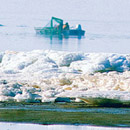 Рыбаки прибрежного лова у берегов Пярнумаа. Фото: Кюллике Роовяли .