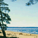 Нарва-Йыэсуу известный курортный город. Город находится в треугольнике между рекой Нарва и морским заливом, его улицы проложены прямо через сосновый бор в дюнах. Дома украшены затейливой резьбой по дереву, парки, сады, золотистый пляж, воздух наполненный ароматом хвои. Фото : virumaaturist.pri.ee .